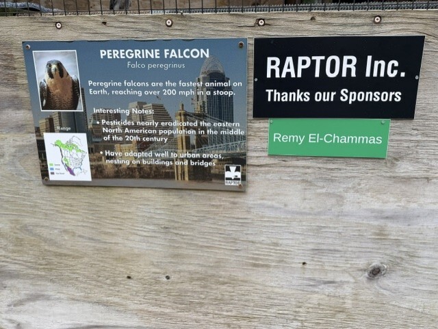 Plaque